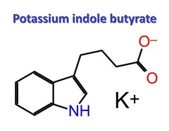 Potassium indole butyrate, CAS 60096-23-3