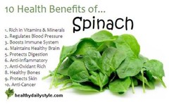 200 Bloomsdale Spinach Seeds-Non GMO-Open Pollinated-Organic-Cool Weather.