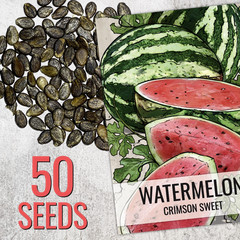 Crimson Sweet Watermelon Seeds For Planting (Citrullus lanatus)
