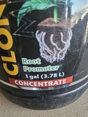 Clonex Clone Solution (1- 0.6 -1) Concentrate / 1 gallon
