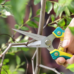 Pruning Scissors, Professional Garden Shears – Straight Stainless Steel Blades –