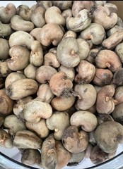 10 Cashews Seeds Red Indonesian Cashew For Planting