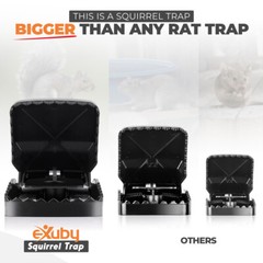 eXuby Squirrel Trap (2 pack) – Powerful Spring – 96% Instant Kill -Easy Setup