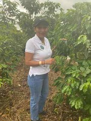 100% Hawaiian / Kona Coffee Beans Medium Roasted 4 Pounds In 1 Pound Bags