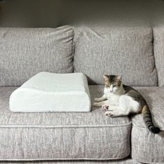 Thai Natural Latex Pillow Standard Size,Removable Breathable Cover, Medium Firm