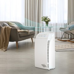 Home True HEPA Air Purifier Large Room Air Cleaner for Allergies Smoke Mold Odor