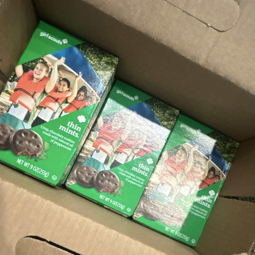 Girl Scouts Thin Mints Chocolate Mint Cookies, 9 oz Box, Exp JUN 01 2026