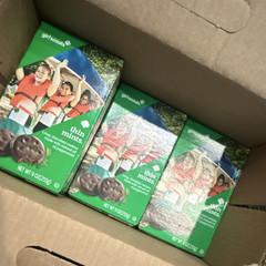 Girl Scouts Thin Mints Chocolate Mint Cookies, 9 oz Box, Exp JUN 01 2026