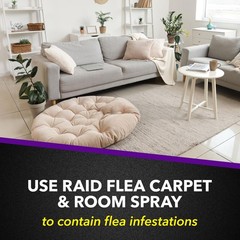 Raid Flea Killer Carpet & Room Spray, Kills hatching 16 Ounce (Pack of 1)