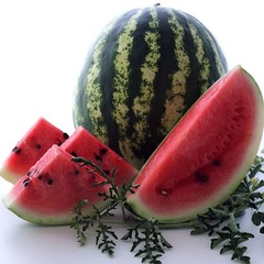 25 Crimson Sweet Watermelon seeds, ORGANIC & Heirloom FREE S/H