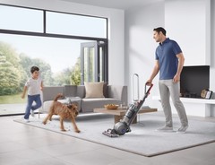 Dyson Ball Animal 2 Upright Vacuum | Iron | Refurbished