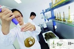 High Quality Ripe Pu erh Tea 100g Slimming Tea Old Pu er Black Tea Health Care