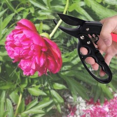 Premium German Pruning Shears Ergonomic HeavyDuty Hand Pruners for Precision
