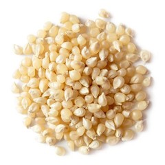 Food to Live Organic White Popcorn Kernels, 1 Pounds – 16 Ounce (Pack of 1)