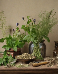Absinthe Kit Botanic Herb Mix Wormwood Anise Fennel Many More! Potent USA