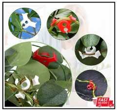 40Pcs Low-Pressure Plant Training Clip, Lst Clips for Training Plant Stem Suppor