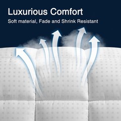 WonderSleep Queen Size Mattress Pad Cover Quilted Fitted Protector – Queen Size