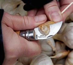 CHESTNUT & GARLIC KNIFE