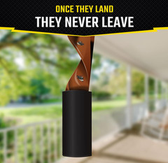 Black Flag Fly Paper, Insect Trap, Catches All Flying Insects 4 Traps