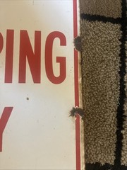 Steel No Stopping Any Time Sign