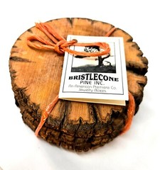 Bristlecone Pine Drink Coasters Set of 4 Handcrafted Wood Hundreds of Years Old