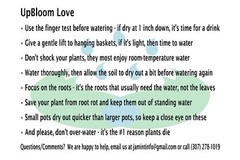 Original UpBloom 32oz 1000 ml Plant Water Bottle for Hanging Plants Succulent