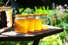 100% Pure Raw Honey with Dandelion! – Now in Glass! – 5 LBS