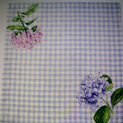 WILLIAMS SONOMA HYDRANGEA GINGHAM NAPKINS 100% COTTON TWILL SET OF 4 FOUR NWTAG