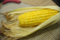 Premium Corn Husks for Tamales, Hojas de Tamal Natural 10 lbs