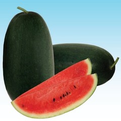 20+ Watermelon Seedss (Citrullus lanatus) Bundling 4 Cultivar Garden Package