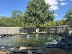 Pond liner 30 Mill -HDRPE Strong 6×20 16×16 15×25 20×20 30×30 25×30 40×40 40×60