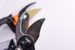 Felco 15  High Performance Pruning Shears Swiss Made Hand Pruner + Fiskars P552