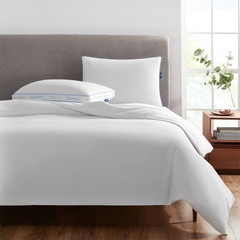 pedic Extra Firm Pillow, Standard/Queen, 2 Pack, Hypoallergenic