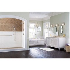 NEW CONDITION MOEN 3668EPBN 1-Spray Handheld Hand Shower Brushed Nickel