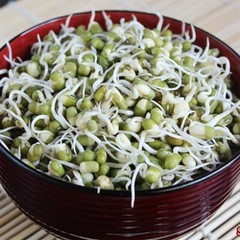 Organic Whole dried MUNG Beans ‘Green Gram’ ‘Moong’ Prewashed Clean non GMO