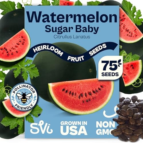 75 Sugar Baby Watermelon Seeds for Planting (Citrullus Watermelon Sugar Baby