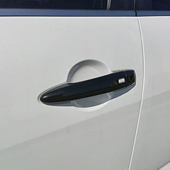 AOKIO Door Handle Cover Trim for 2019 With Smart Keyhole for 2019-2024 Models