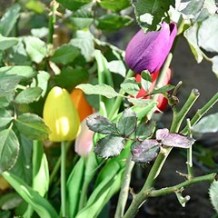 20pcs Multicolor Flowers Artificial Tulip Silk Flowers 13.5″ for Multi Color