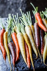 500 RAINBOW CARROT MIX White Red Yellow Purple Orange Daucus Carrota Seeds