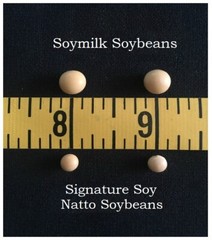 Signature Soy NON-GMO Soybeans for Natto 1.5, 13 or 20 lbs Grown in ND & MN