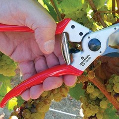 5 Pcs Silver Springs Pruners Replacement Pruning Shears Spare Spring Hand Pruner