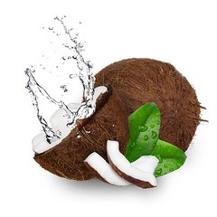 Coconut water powder 4oz 8oz 16oz 1lb 32oz 2lb 5lb 10lb electrolyte +flavor PAJE