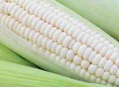 Silver Queen White Sweet Corn Seeds, F1 Hybrid Non-GMO Untreated, Fresh 2026 USA
