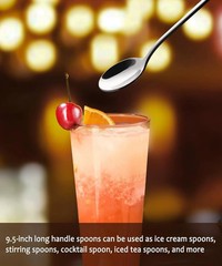 9.5-Inch Long Handle Spoon, Ice Tea Spoons, Ice Cream Spoon, Long Coffee Spoons