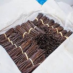 25 Madagascar Extract Grade B Bourbon Vanilla Beans 6-7 inches NEW 2023 HARVEST!