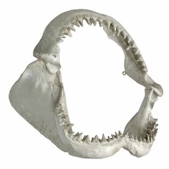 Replica Shark Jaw 15.5in Resin Wall Sculpture Coastal Ocean Nautical Decor