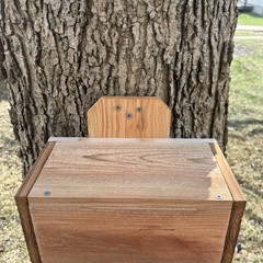 Large Solid Cedar Backyard Squirrel House Nesting Box – Wooden W Preditor Guard