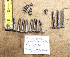 Maytag MDB8600AWS Dishwasher screws- various stainless steel screws as shown