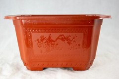 Rectangular Plastic Cactus & Succulent, Bonsai Training Tall Pot 7.25″ to 17.5″