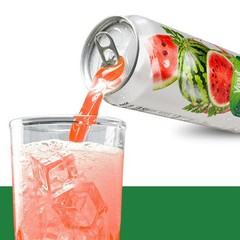VINUT 100% Watermelon Juice, No Added Sugar, 16.9 fl oz (500 mL) Can, Pack of 6